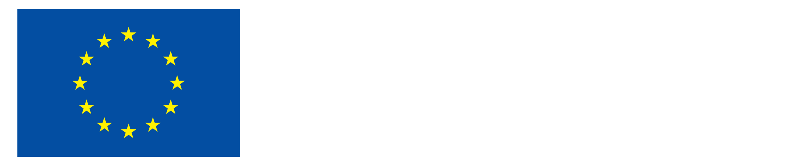 Co-funded by the European Union